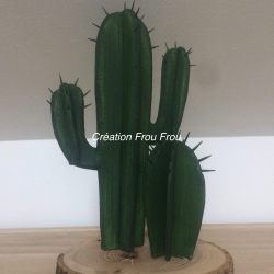 Cactus 3D